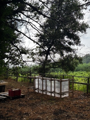 Build-up, Punto Base